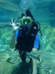 Marmaris'in Derinliklerinde Unutulmaz Bir Deneyim: Günübirlik Dalış Turu