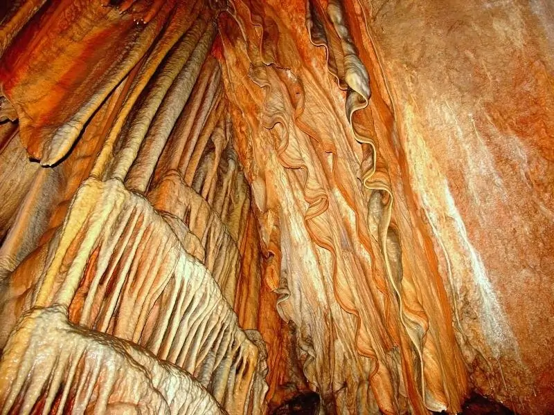 Doğanın Kalbinde Bir Gün: Cabrio Safari Village Turu ile Alanya’nın Saklı Yüzünü Keşfedin