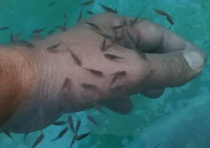 Bedeniniz ve Ruhunuz İçin Mükemmel Bir Molalar: Olive Hamam Deneyimi