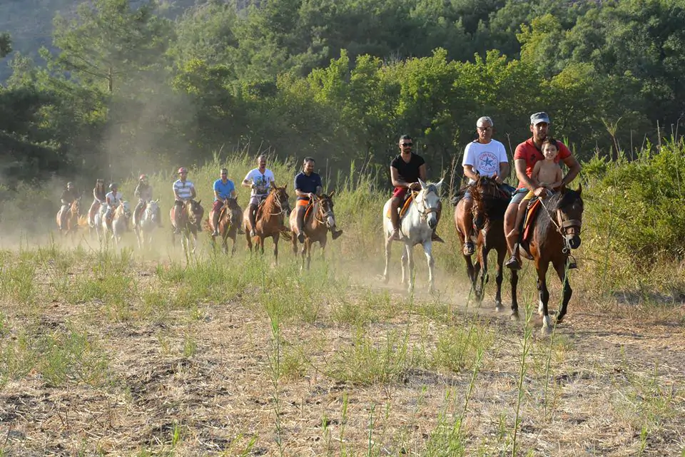 İçmeler At Safari