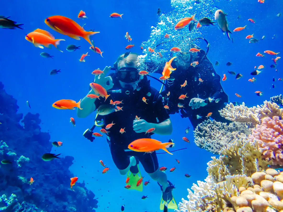 Kuşadası Tüplü Dalış