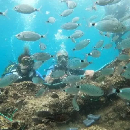 Antalyadan Tüplü Dalış (Diving) Turu