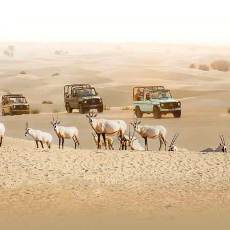 Dubai Akşamı Geleneksel G-Class Safari