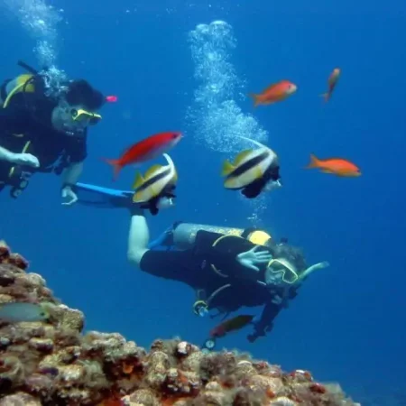 Kuşadası Dalış (Diving) Turu
