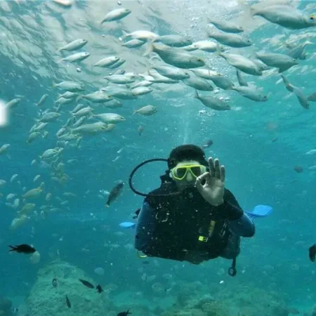 Kemer Ottobus Dalış Turu: Akvaryum Kadar Berrak Sulara Yolculuk
