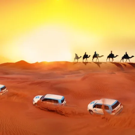Dubai Çöl Safari – 6 Kişilik Özel Araç