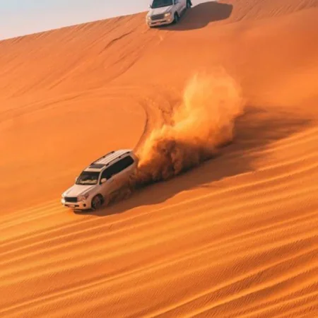 Dubai Çöl Safari