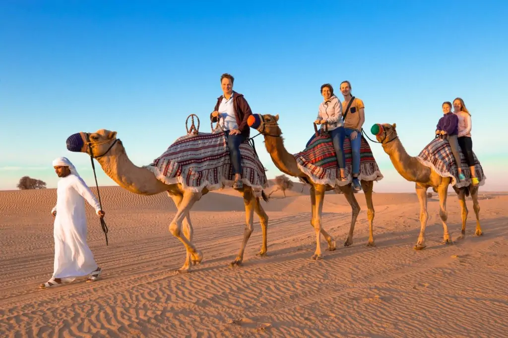 Dubai Çöl Safari (Standard)