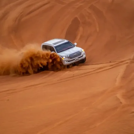 Dubai Çöl Safari (Standard)