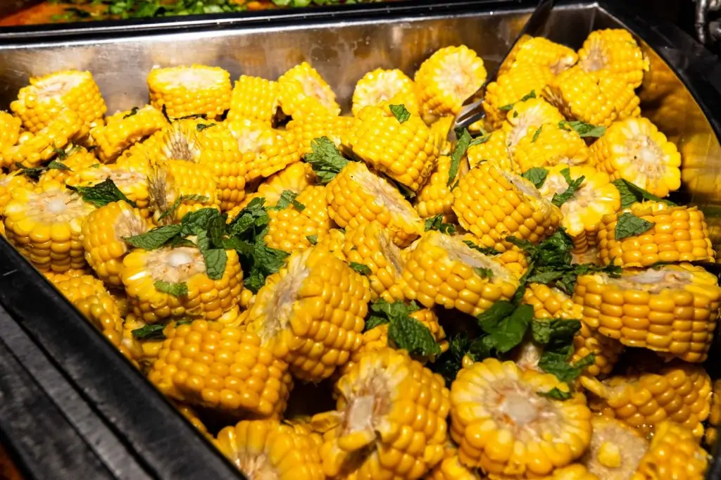 Dubai Çöl Safari (Standard)