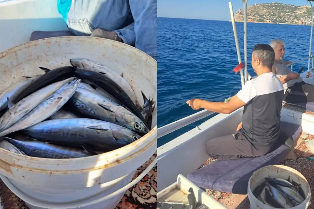 Alanya'da Özel Balık Turu 