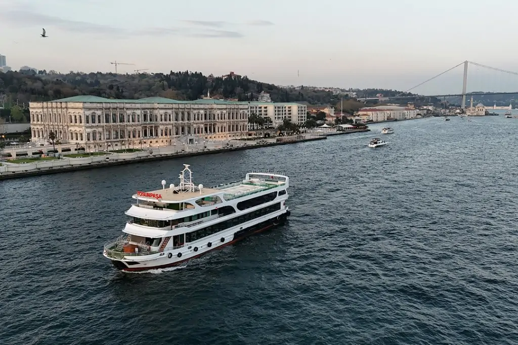 İstanbul Boğazı'nda Akşam Yemekli Tekne Turu (Transferli)